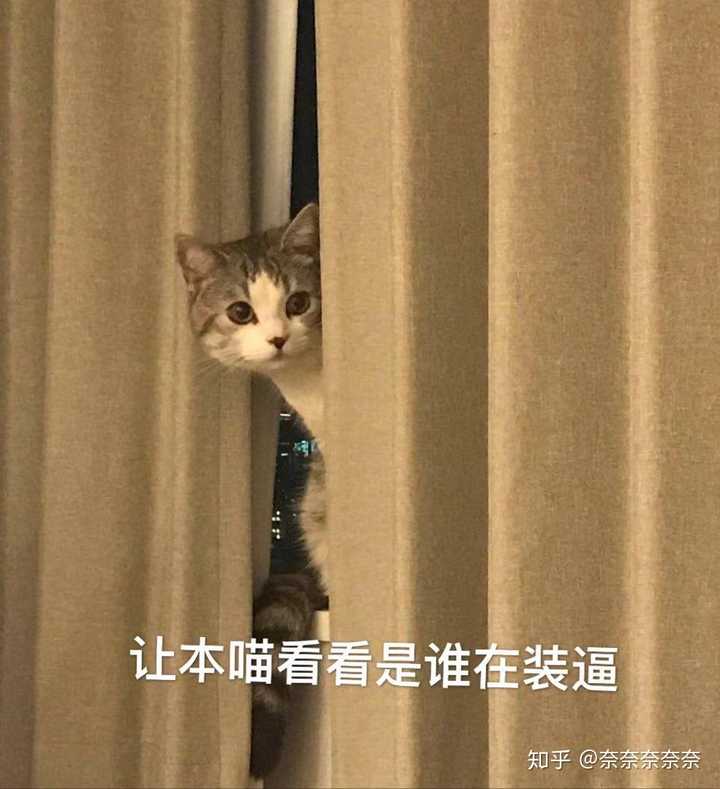 猫咪知道铲屎的在睡觉会蹑手蹑脚小心翼翼吗?