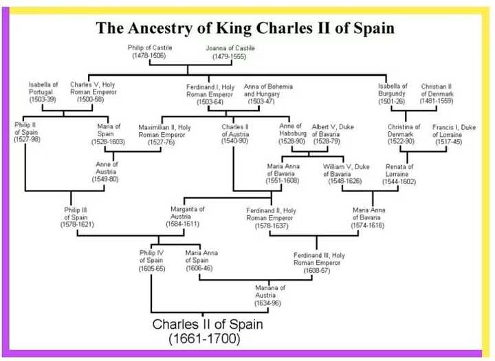 哈布斯堡家族百年近亲结婚的终极产物,卡洛斯二世国王陛下