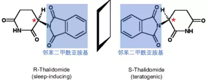 互为镜像的两种沙利度胺[4]