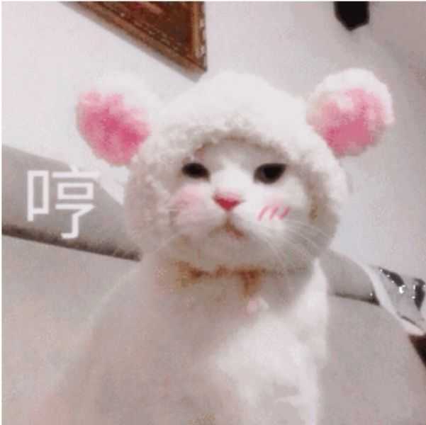 如何鉴定一个头像是否是情侣头像?