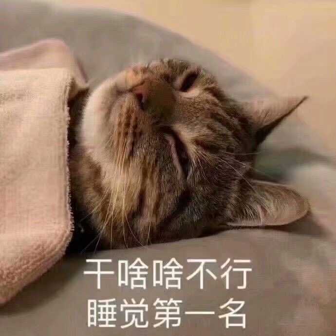 橘猫爱睡觉吗?