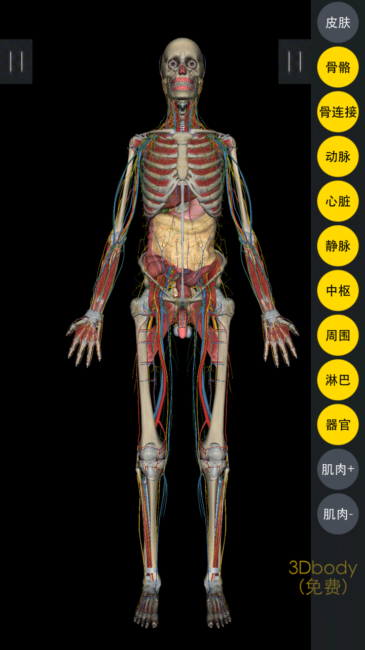 有没有学习现代人体解剖学的app?