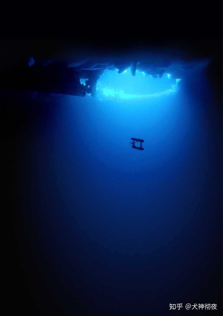 有哪些深海恐惧症看了会害怕的图片?