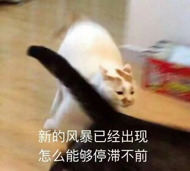 潘老师16个小时前上过知乎! 我在干什么,我是谁我在哪我错过了什么!