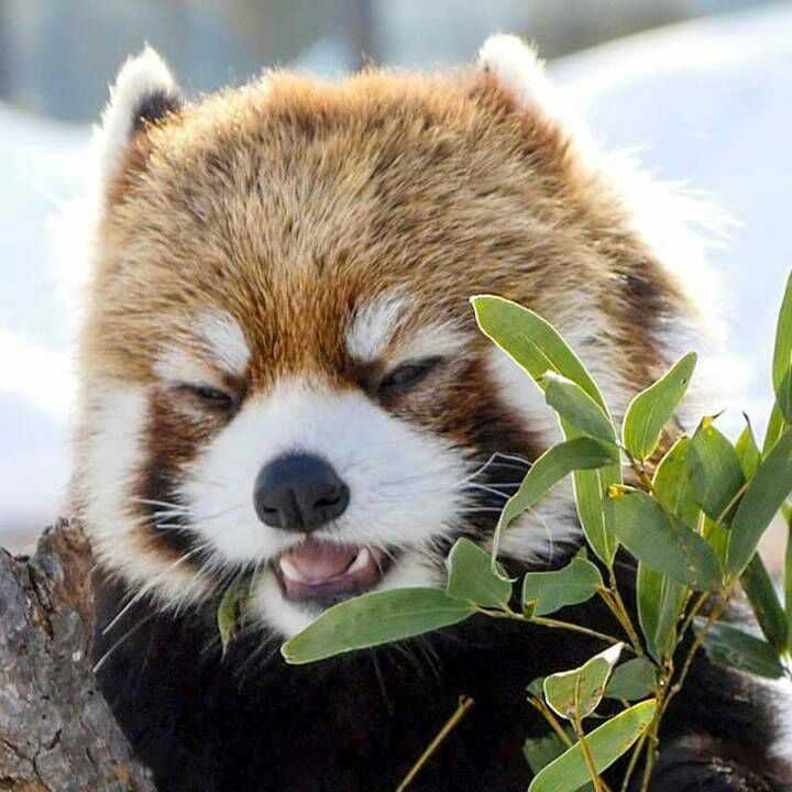 一脸迷茫.jpg