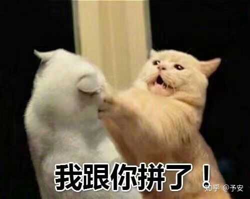 有哪些可以很好表现愤怒想骂人的表情包?