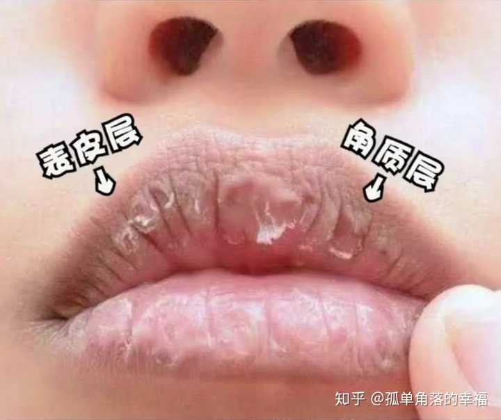 什么唇膏比较好用?