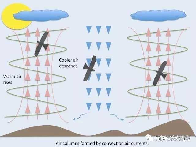 利用上升气流产生的升力这类升力严格意义上不算鸟类自己产生的,只能