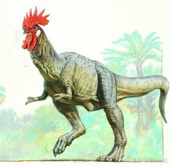 假设,x万年前,一只恐龙的倒霉孩子,被我们定义为世界上第一只"鸡"