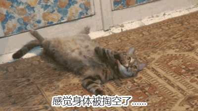 可以给我康康你们的猫猫表情包嘛?