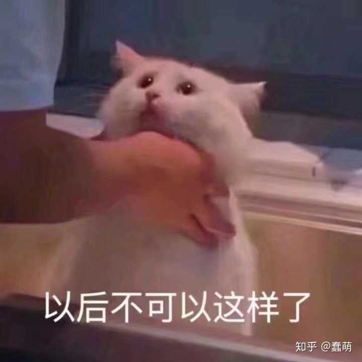 微信聊天头像会影响聊天兴趣吗?