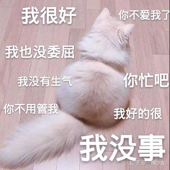 有哪些可以哄男朋友的表情包呢