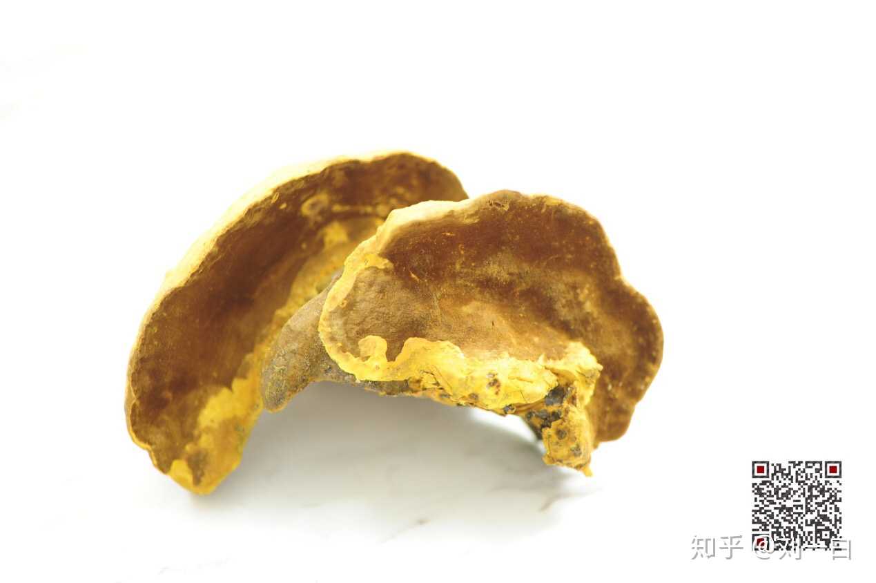 桑黄的服用方法