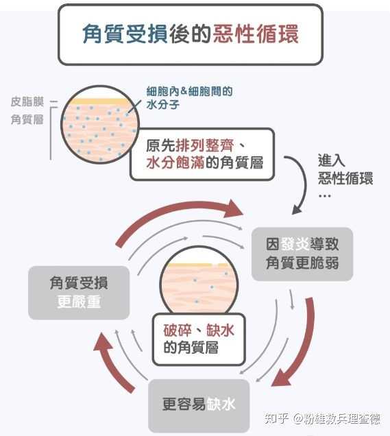 敏感肌用哪些牌子的护肤品?