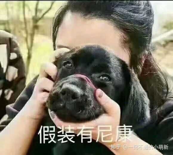 有哪些摄影圈可以用的表情包?
