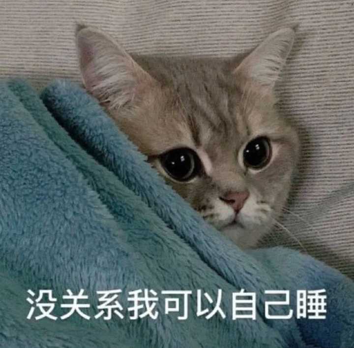 有哪些可爱到哭泣的猫咪图片或者表情包?