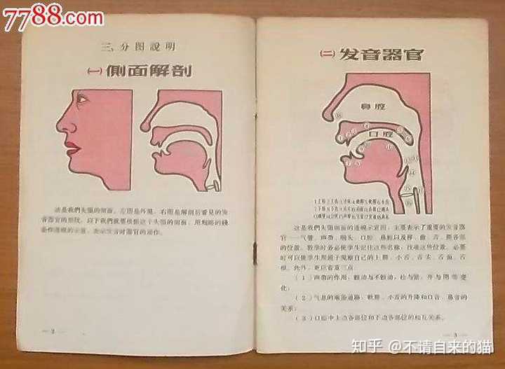 普通话发音部位在哪里详解