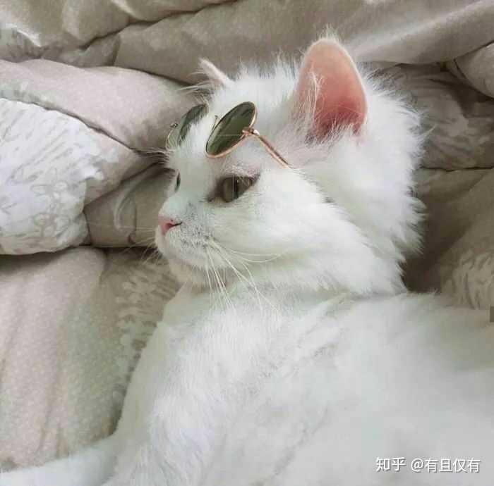 有没有搞怪又可爱的微信头像?