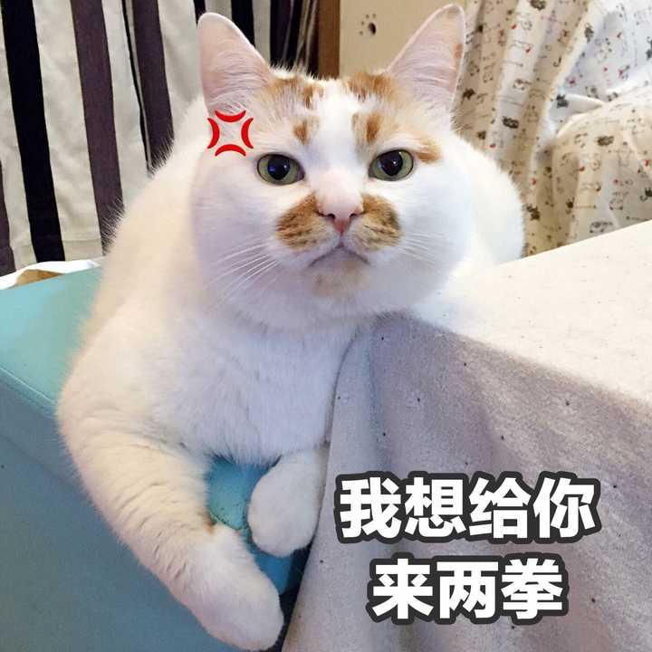 就跟上面的表情包一样吧,单身好,想跟谁好跟谁好哼.