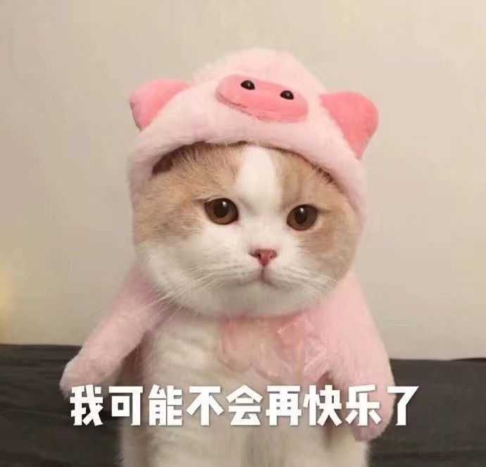 被室友称为表情包大佬的我不能再低调了_(:з」∠)_ 可爱的表情当然