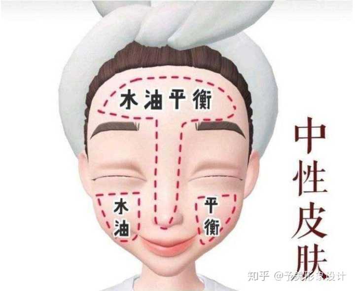 中性皮肤