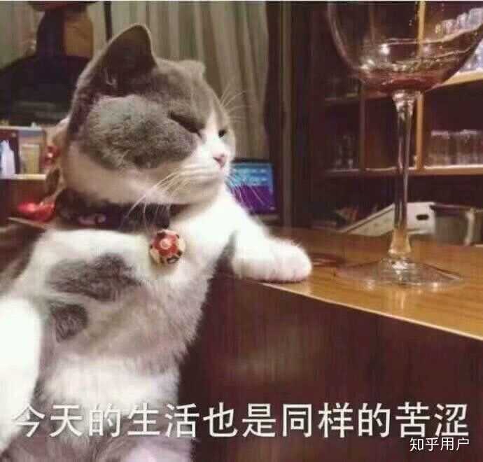 所以,现在我只想搞钱.