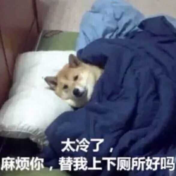 作为社会主义接班人一定要有爬出被窝的勇气