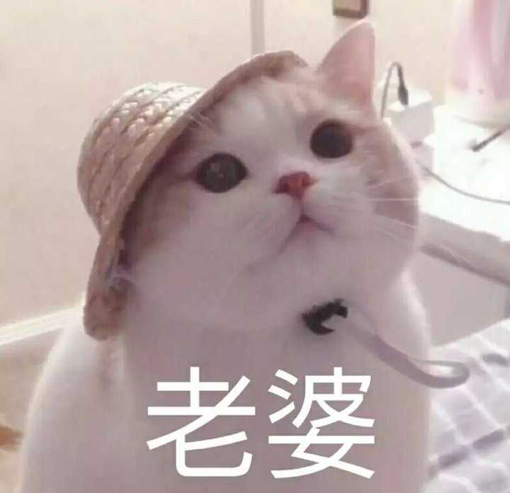 有哪些哄女朋友的表情包?