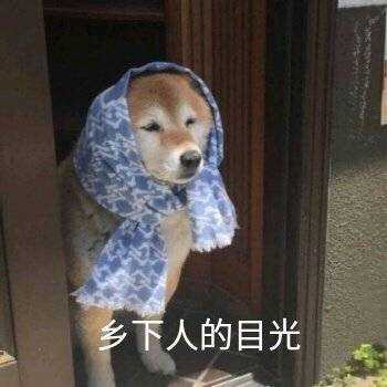 你都存了哪些沙雕表情包