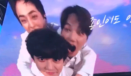 有没有exo什么搞笑沙雕的表情包和动图?