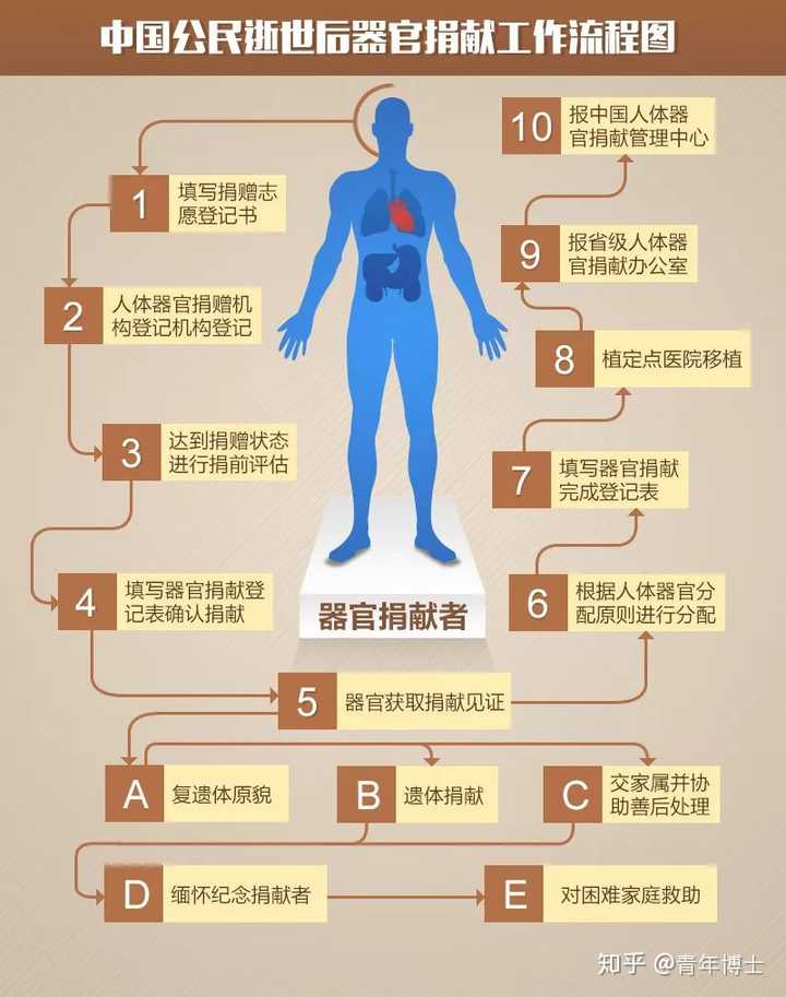 器官黑市商人真的有吗