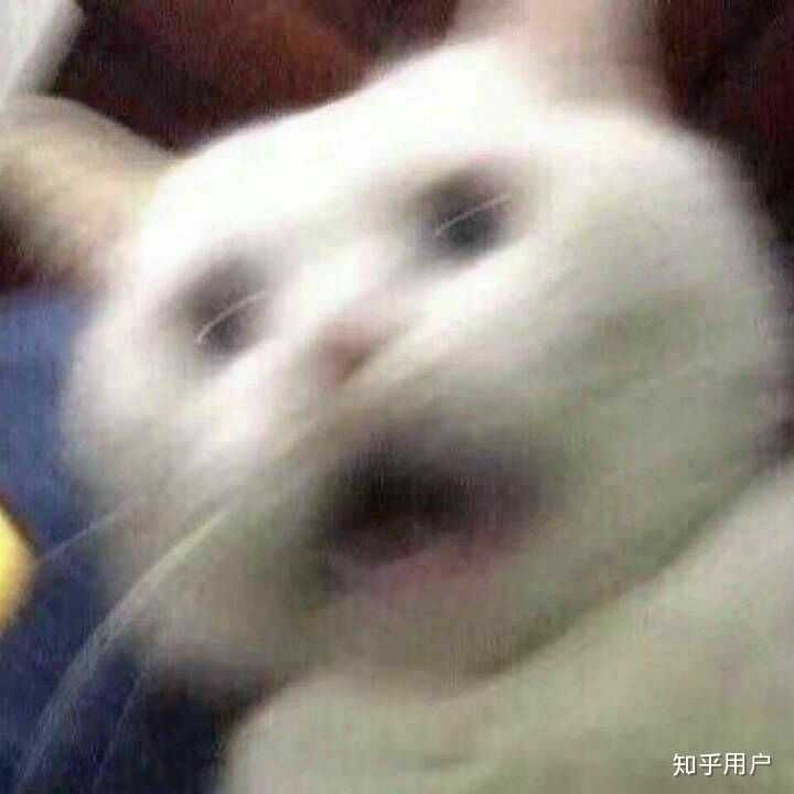 求很凶,不可爱,沙雕闺蜜头像 ?