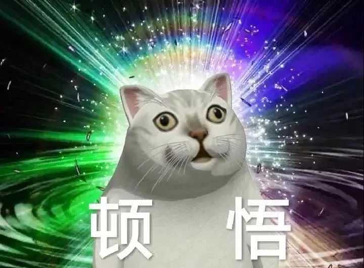 来一波猫咪的表情包 1.奇怪的知识增加了!