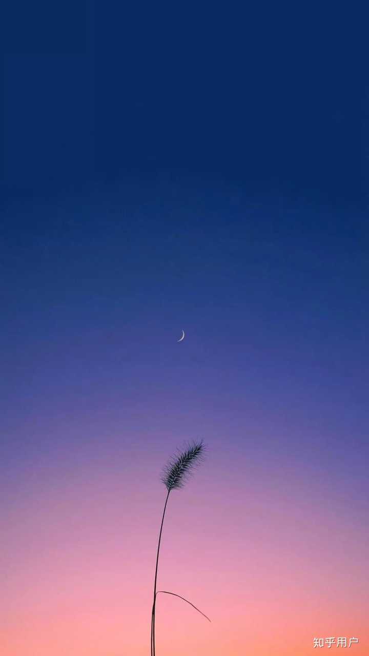 有哪些高质量的微信聊天背景图片?