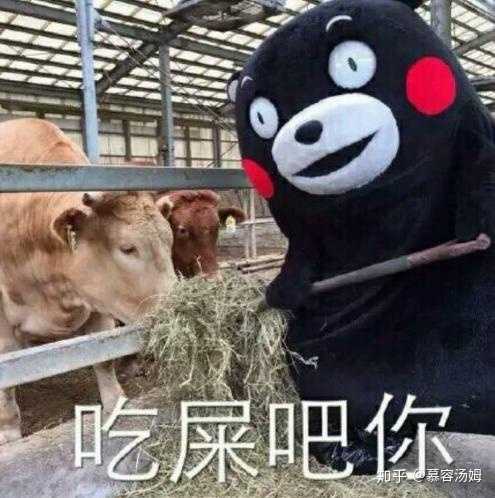 屎味儿的糖 和糖味儿的屎 如果必须选择 你选择吃哪个?