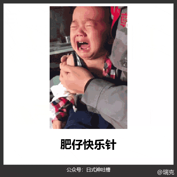 有哪些搞笑的动图/gif表情包?