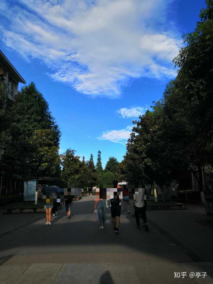 成都医学院的图书馆或教室环境如何?是否适合上自习?