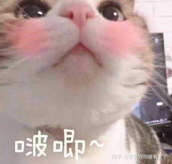 有哪些哄男朋友的可爱的表情包?