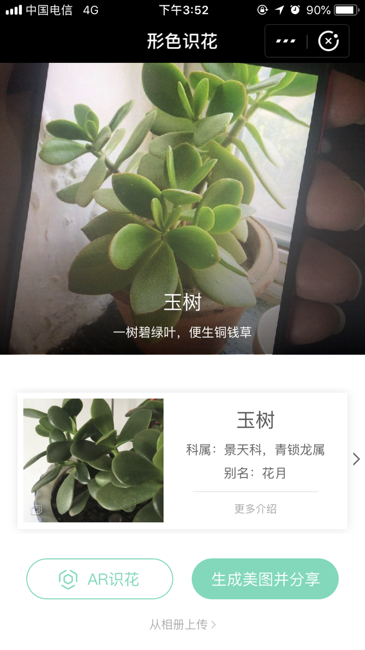 支付宝扫一扫,打开ar就可识别