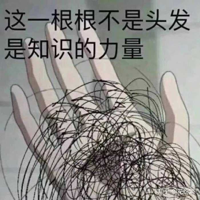 本人不想秃头变强,只想当头发浓密的死废柴!