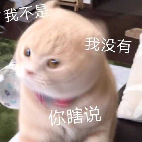 你有哪些超有趣的萌宠表情包?