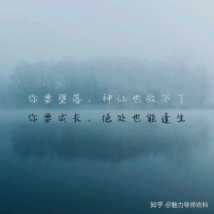 很想努力拼命一把,但没有动力坚持下去怎么办?