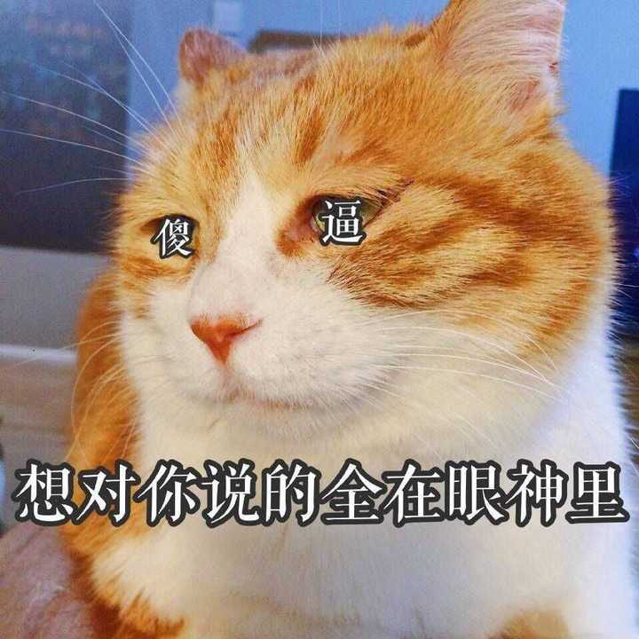 全程这个眼神.