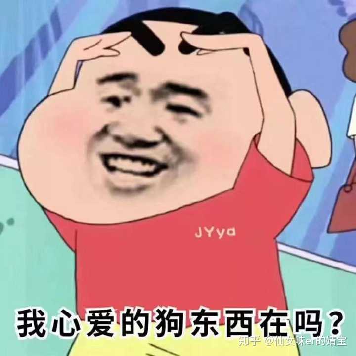 有没有一个万能表情包可以回复所有问题?