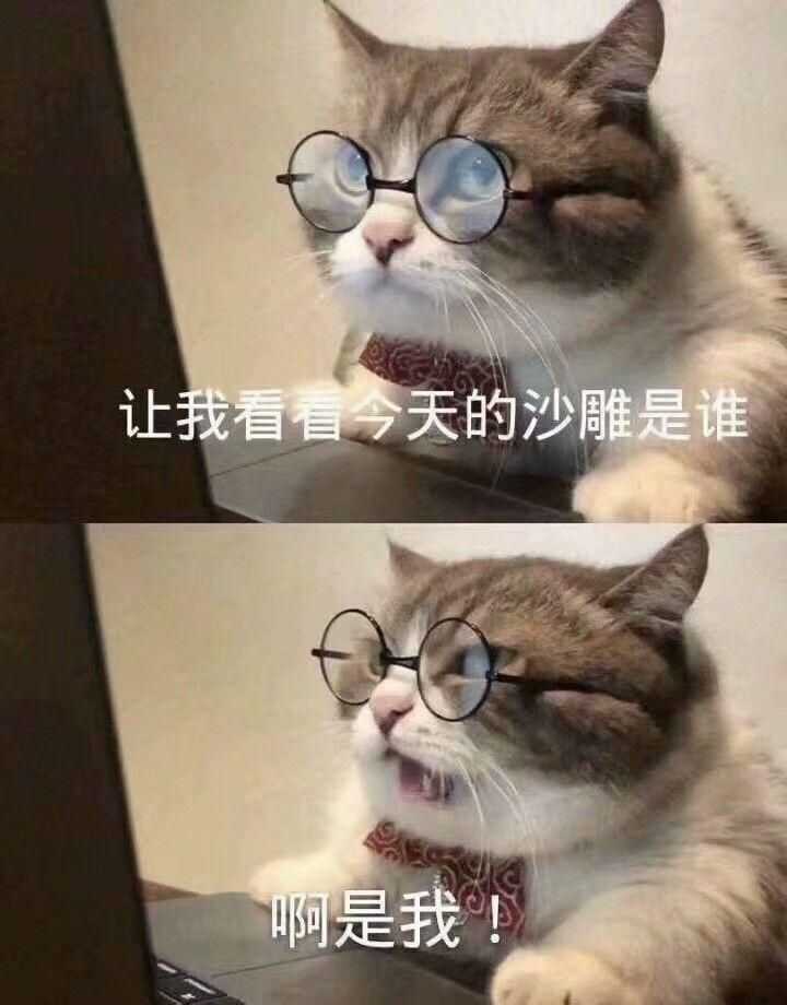 有哪些沙雕表情包?