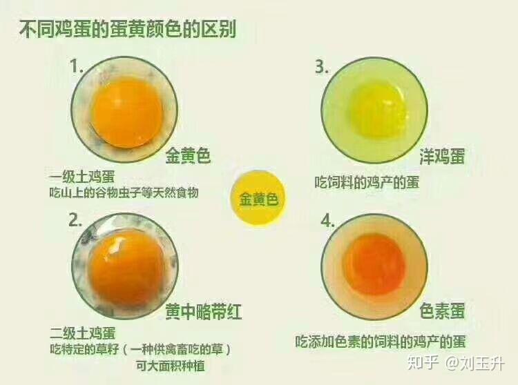 化工色素鸡蛋,是指在喂母鸡粮食的时候,添加一定比例的"加丽素红"或"
