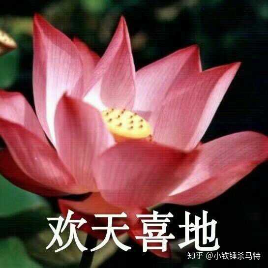 有没有头像能不被爸爸妈妈亲戚朋友嫌弃的?