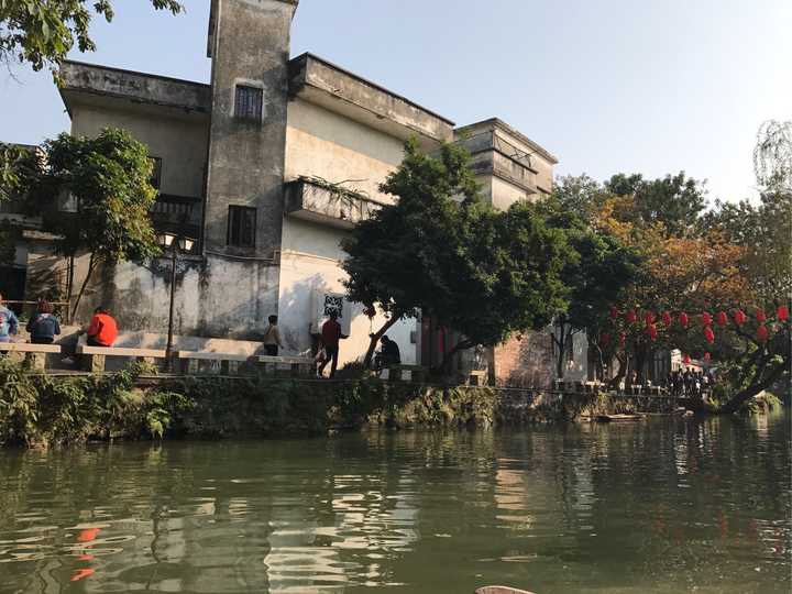 到广东顺德杏坛镇逢简水乡旅游是怎样的体验