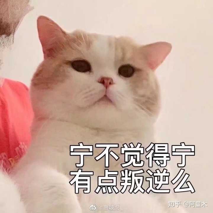有没有怼人很厉害的表情包?