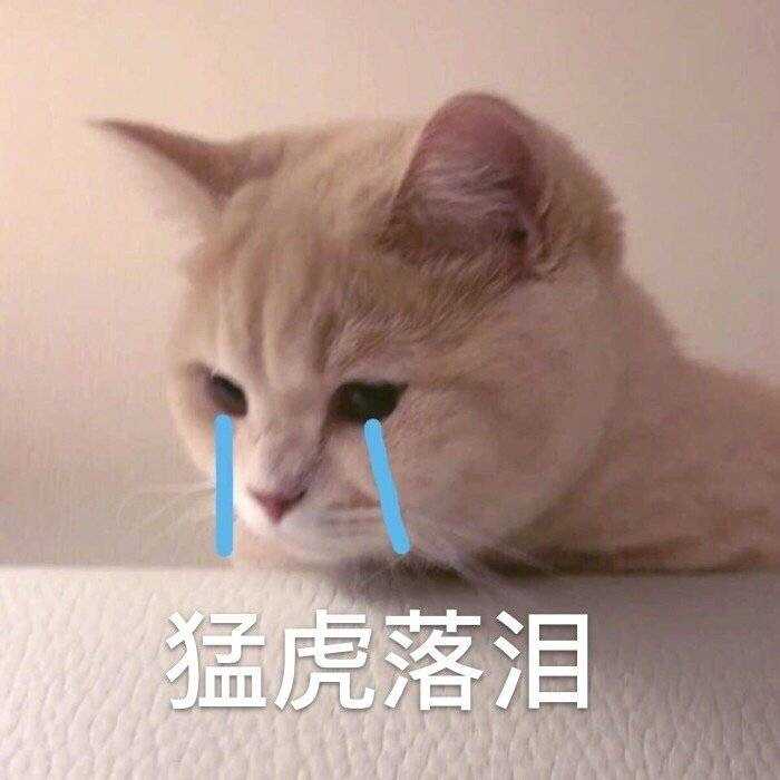 有没有又可爱又沙雕的表情包?